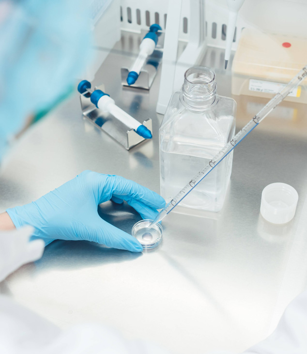 圖片名稱(chēng)